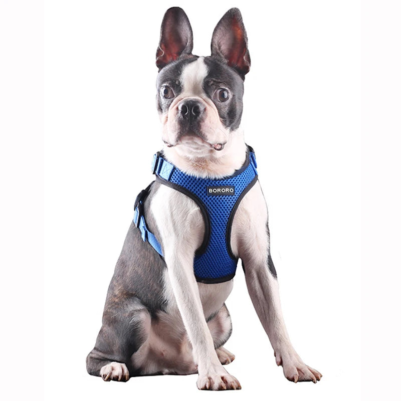 Colete para passeio para cães