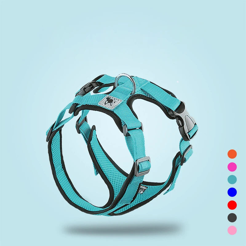 Colete para passeio para cães